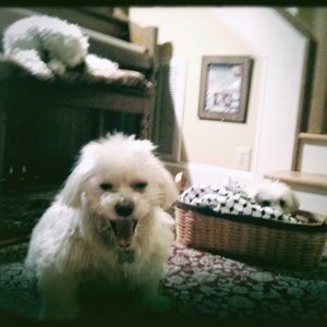 Meet your Posher, Lynde